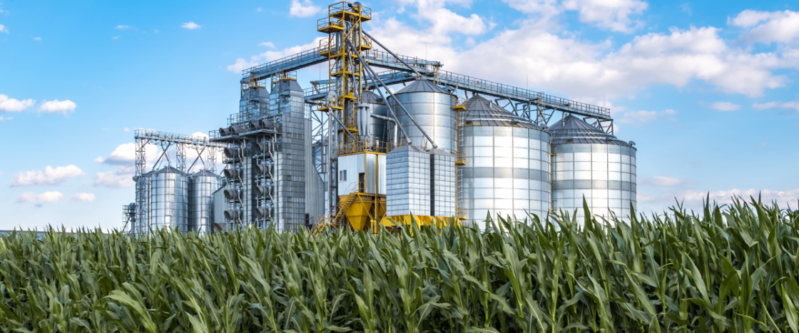 2025-energy-efficiency-in-food-cereal-gran-processing