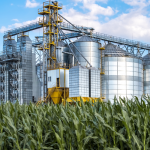 2025-energy-efficiency-in-food-cereal-gran-processing